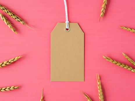 Blank Kraft Tag with Wheat Stalks on Pink Background photo