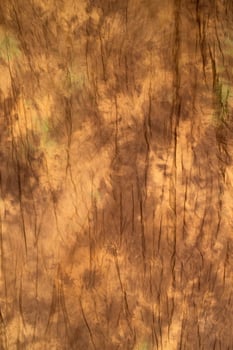 Brown wrinkled fabric texture with subtle green stains, background for design, vintage or grunge style photo