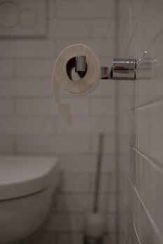 Toilet Paper Roll in Modern Bathroom photo