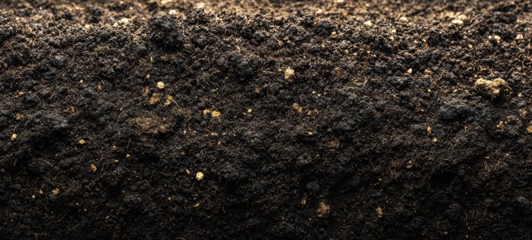 The rich and textured surface of dark soil for gardening and agriculture. photo