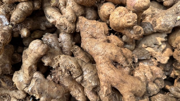 Pile of raw fresh ginger roots showing rough texture and natural earth tones photo