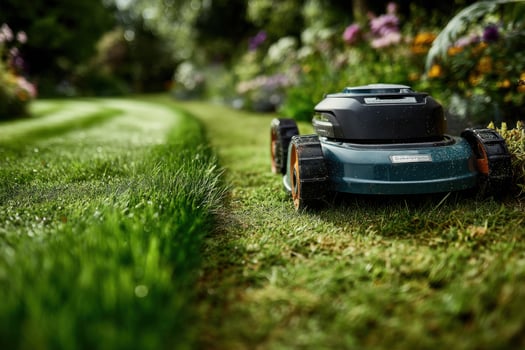 A lawn mower is on the grass in a garden photo