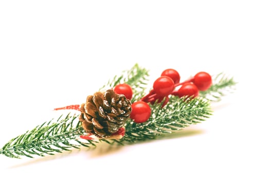 Holiday New Year. Branch of Christmas trees with cones,berries on white photo