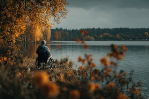 A person in a wheelchair looking at the water photo