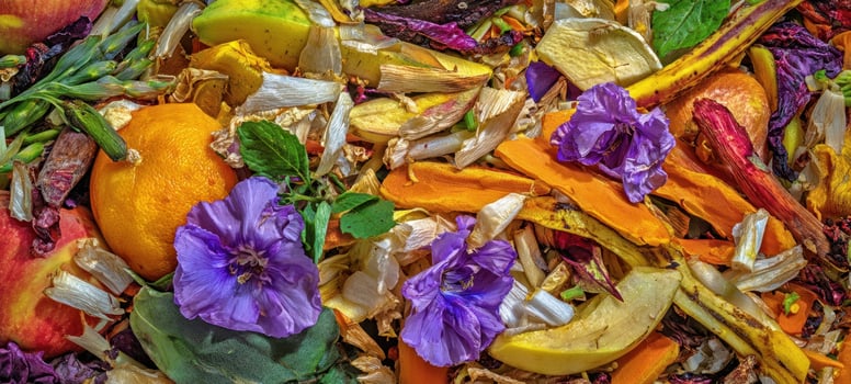 The vibrant compost heap filled with colorful flowers and organic materials. photo