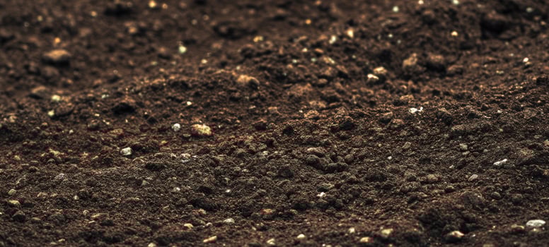 The Rich Dark Soil Ideal for Plant Growth and Agriculture photo