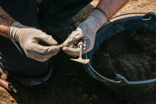 Close-up of a researcher working on a discovery with a small tool. photo