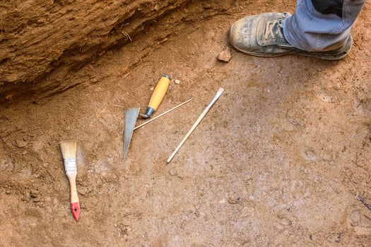 Still life of archaeological tools on the dirt ground of a dig. photo