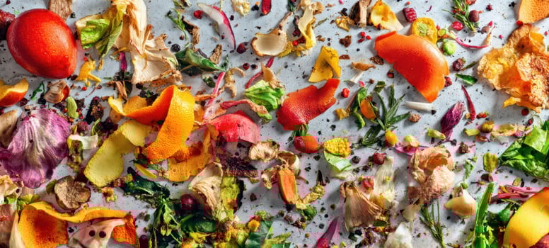 The Colorful Chaos of Organic Food Scraps and Kitchen Waste photo