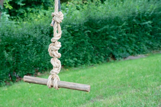 Wooden Rope Swing in a Green Garden photo