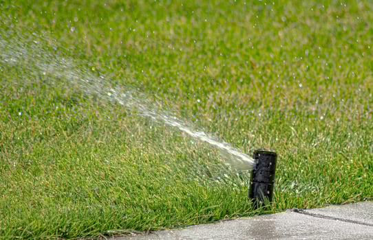 Lawn Sprinkler Watering Fresh Grass photo