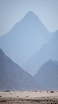 Distant Misty Mountains and Sparse Desert Trees Under a Hazy Sky. photo