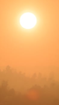 Fiery Sun Illuminates Hazy Horizon Over Silhouetted Trees. photo