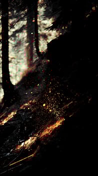 Fiery Sparks Dance in a Dark Forest at Dusk. photo