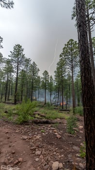 Lightning Strikes Forest Fire in Dramatic Thunderstorm Scene. photo