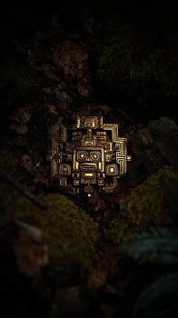 Ancient Golden Mask Hidden in Mysterious Forest. photo