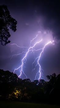 Brilliant Lightning Strikes Illuminate the Night Sky Over Trees. photo