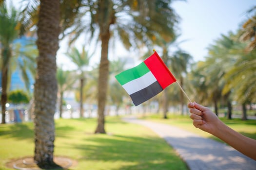 female hand holding tiny flag of UAE, in summer park photo