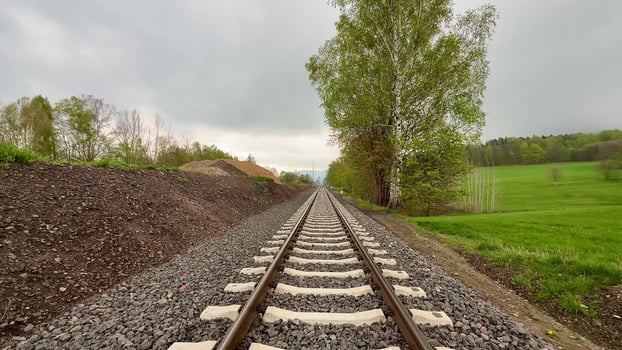 The railroad tracks are beautifully surrounded by lush greenery on a gloomy day photo