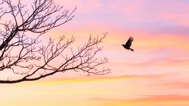 Silhouette of bare autumn branches with a lone bird flying over a warm peach and lavender sky photo