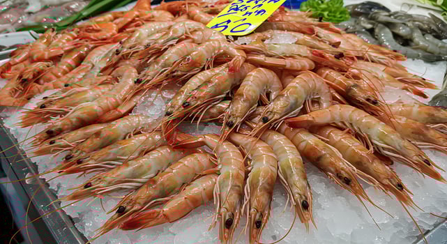 A bunch of shrimp on ice photo