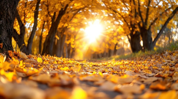 Serene autumn walkway with towering golden trees and soft sunlight breaking through the colorful canopy photo