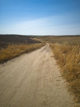 Winding dirt path through golden fields under clear blue sky in late afternoon light near rural landscape photo