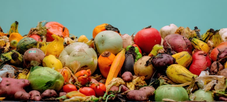 The vibrant arrangement of fresh vegetables showcasing organic produce variety. photo