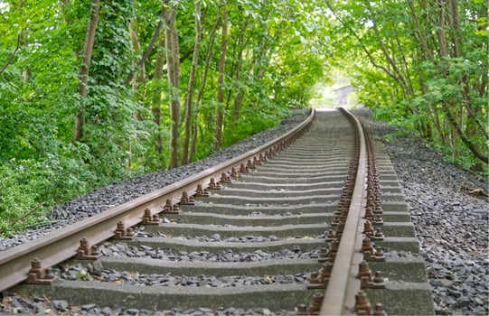 Serene Railway Track Through Lush Greenery at flensburg harbor photo