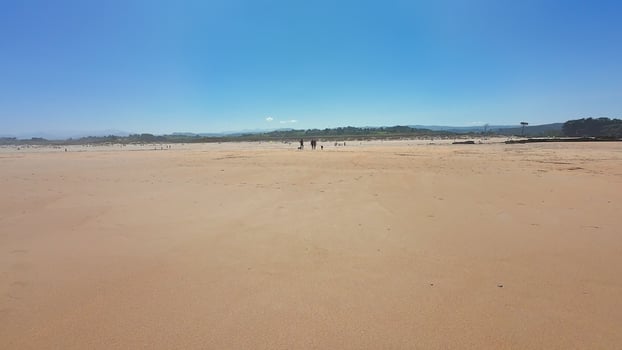 A Serene Beach Landscape with Clear Blue Skies, Ideal for Relaxation and Tranquility photo
