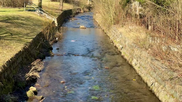 Serene Flowing Stream in Nature A Beautiful and Calm Tranquil Water Scene Awaits You photo