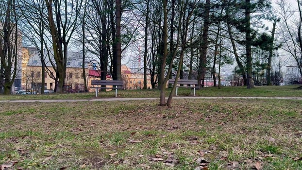 A beautiful and serene park adorned with benches and lush trees for relaxation and tranquility photo