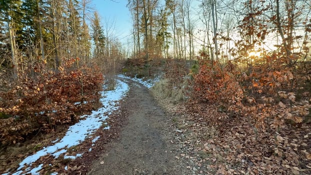 A scenic trail through a snowcovered winter forest, inviting nature lovers to explore photo