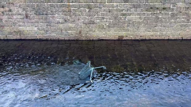 A uniquely fascinating aquatic creature is gracefully swimming close to a stone wall photo