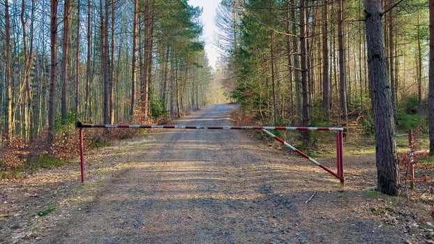 A Serene and Peaceful Forest Pathway Featuring a Closed Gate Nestled Amidst Towering Tall Trees photo