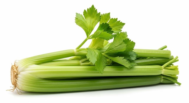 Fresh Green Celery Stalks with Vibrant Leaves on White Background. photo