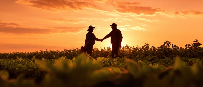 The Farmers Shaking Hands at Sunset in a Vibrant Agricultural Landscape photo