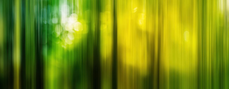 The Abstract Blurred Forest with Green and Yellow Light Effects photo