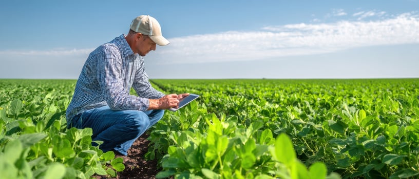 The farmer using a tablet to monitor crops in a lush green field. photo