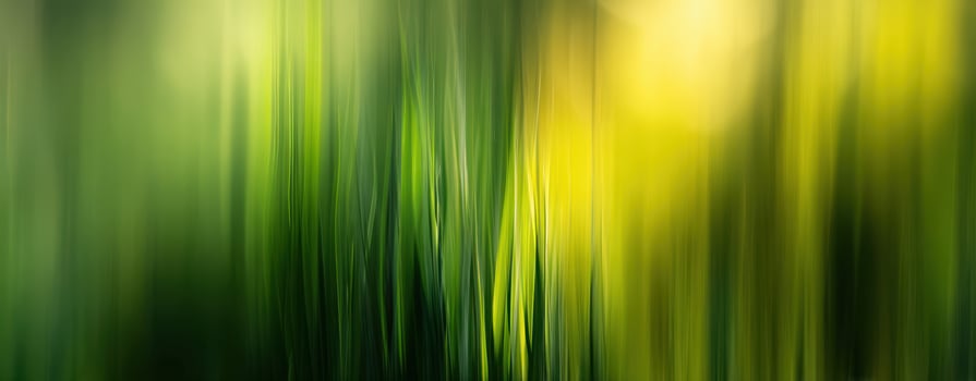 The abstract beauty of blurred green grass in soft sunlight. photo