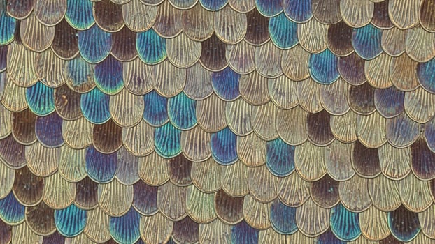 A close up of a blue and green patterned roof photo