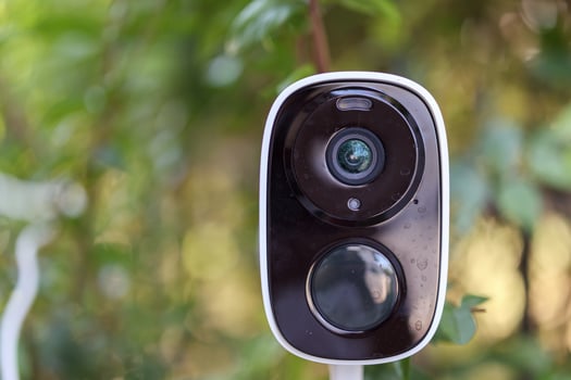 A camera is shown in front of a bush photo