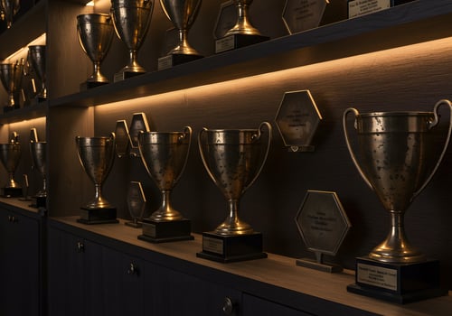Trophies displayed on shelving photo
