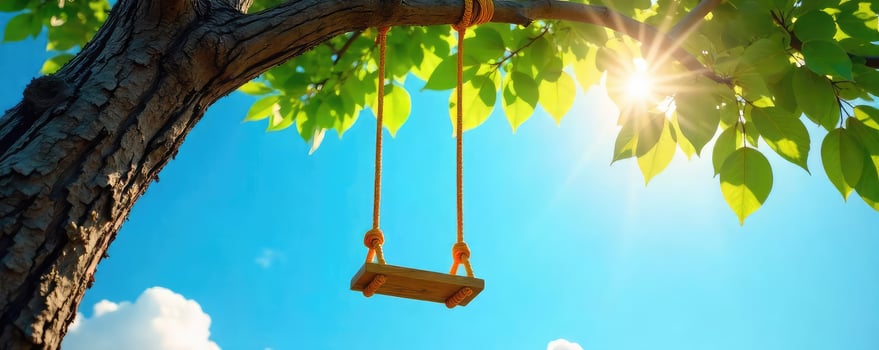 A wooden swing hanging from a tree branch photo
