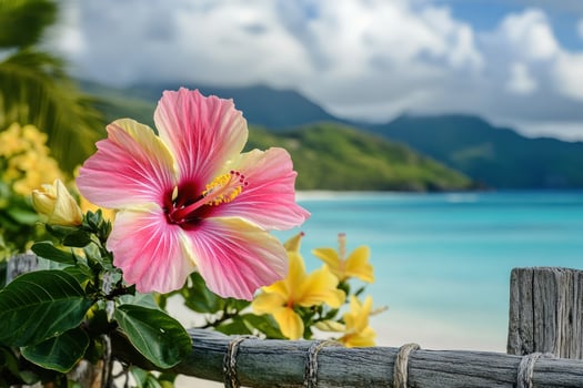 Vibrant hibiscus flower by a tropical beach photo