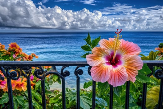 Hibiscus blooms overlooking the ocean photo