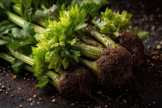 A pile of fresh celery root on a black background photo
