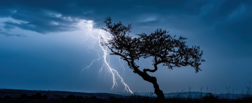 The dramatic silhouette of a tree under a lightning-filled sky at dusk photo