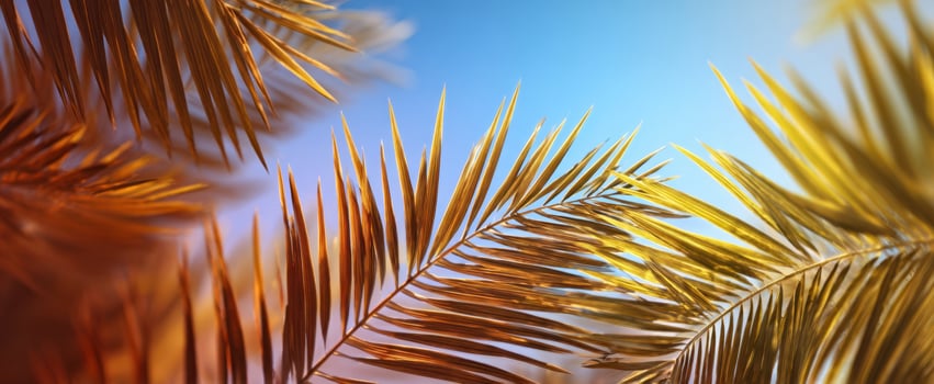 The vibrant palm leaves against a bright blue sky creating a tropical atmosphere. photo