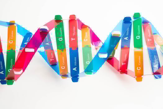 DNA molecule spiral structure model isolated on white background, chromosome gene science photo